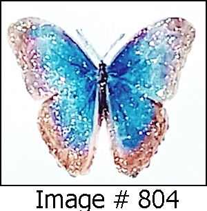 Classy Blue and brown Butterfly